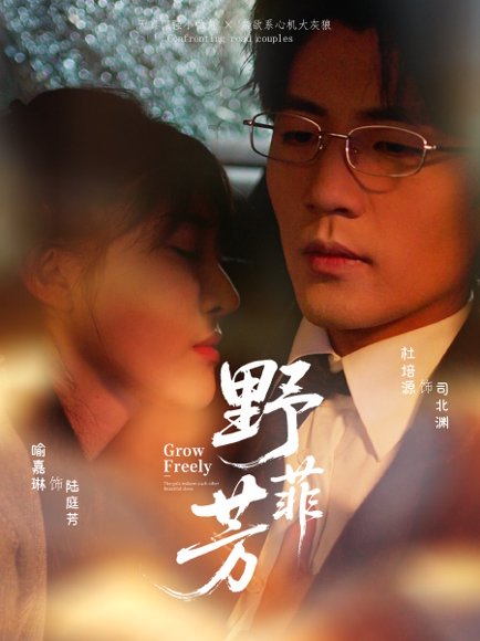 野芳菲（60集）喻嘉琳＆杜培源 高清完整版