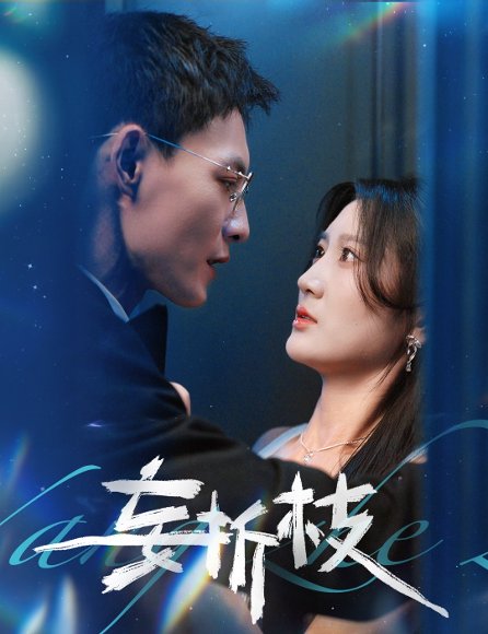 妄折枝 未删减版（53集）冯铭潮＆杨珊子 高清完整版