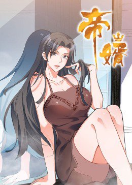 帝婿（90集）动漫 高清完整版