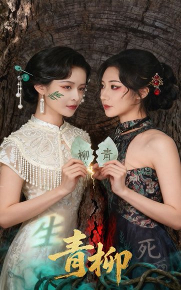 青柳（79集）沈国洋&王思瑾 高清完整版