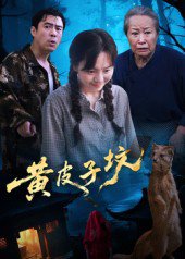 黄皮子坟（35集） 高清完整版