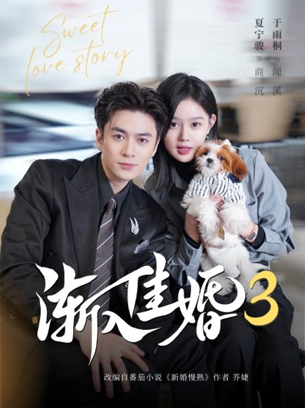 渐入佳婚3第三部（60集）夏宁骏＆于雨桐 高清完整版