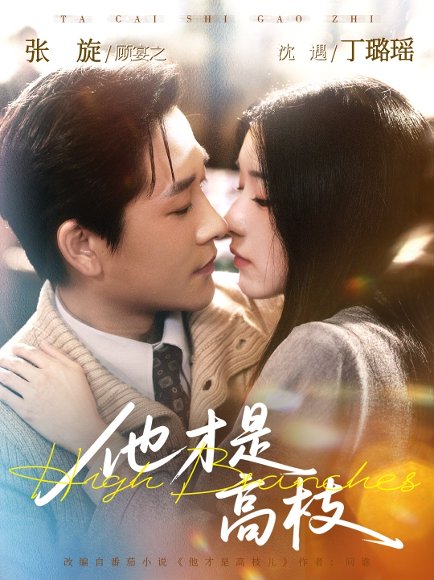 他才是高枝（77集）张旋＆丁璐瑶 高清完整版