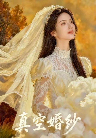 真空婚纱（36集） 高清完整版