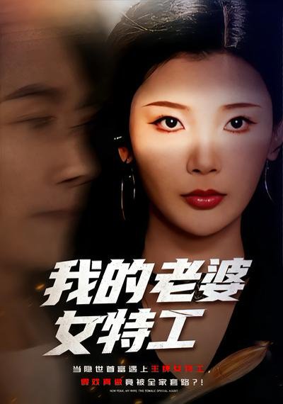 我的老婆女特工（62集）王星辰&王振 高清完整版