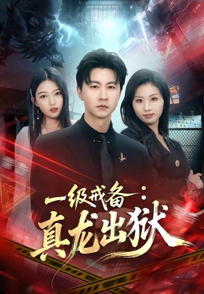 一级戒备：真龙出狱（73集）王鹏＆千文 高清完整版